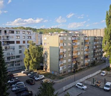 Novo Sarajevo Apartment | Apartman Mrvica