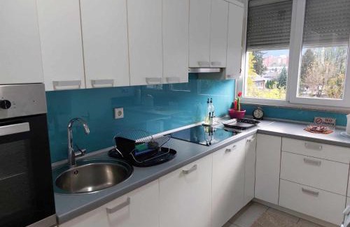 Mali Radic Apartment | Apartman OMANOVIĆ