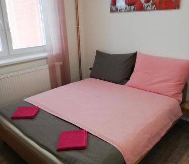 Loucna nad Desnou Apartment | Apartmany Agatha