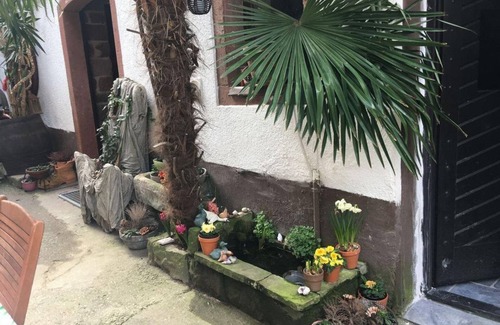 Leinsweiler Apartment | Apartment 3 - Feriengut drinking stork