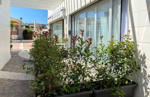 Marina di Cecina Apartment | Apartment 30 mt from the sea - 1