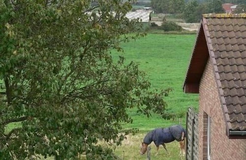 Hoxmark Apartment | Apartment Apartment 2