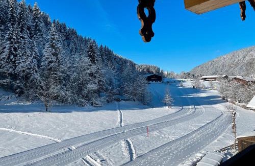 Sonnenberg Apartment | Apartment Bergglück Wildschönau