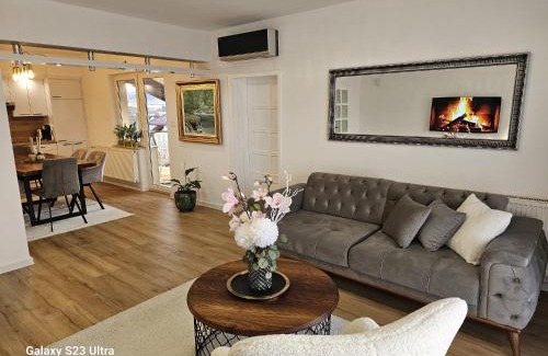 Mali Radic Apartment | Apartment City View