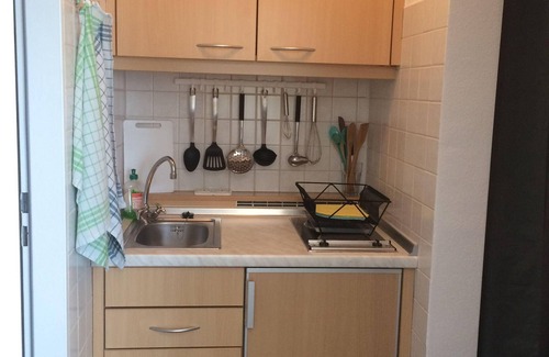 Neureichenau Apartment | Apartment Ferienwohnung Putz