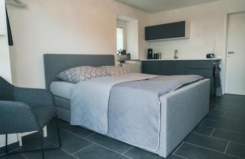 Duerrroehrsdorf-Dittersbach Apartment | Apartment Haus Inge
