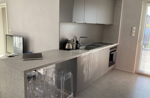 Colmar Apartment | Apartment in detached house