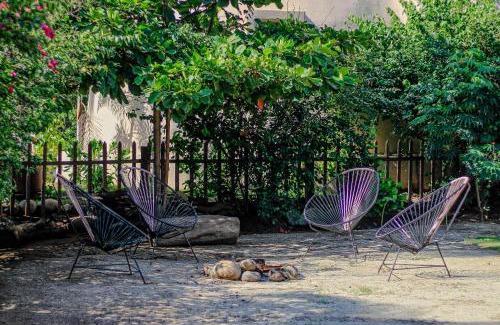 Saladita Apartment | Apartment Lodge Tres Palmas. Apartment #1