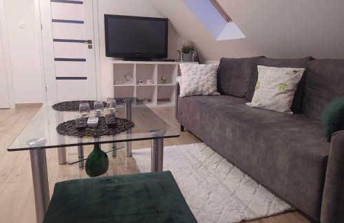 Grybow Apartment | Apartment/mieszkanie u Janusza