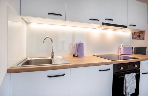 Greifswald Apartment | Apartment 'Modernes Loft Mit Terrasse' with Private Garden and Wi-Fi