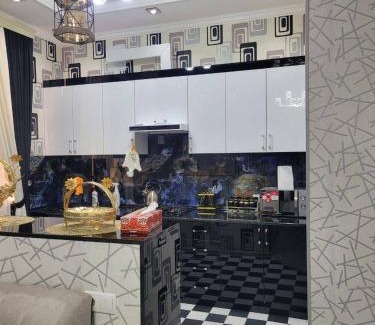 Samarkand Apartment | Apartment on Shahi Zinda