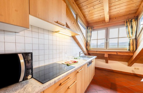 Caldaro Sulla Strada del Vino Apartment | Apartment 'Panorama' with Mountain View, Private Garden and Wi-Fi