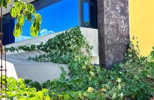 Comitan de Dominguez Apartment | Apartment & studio with city views