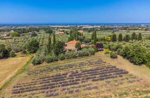 Bibbona Apartment | Apartment Tramontana by Interhome