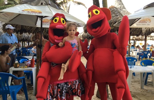 Papicu Apartment | Apartment with private pool and billiards Barbecue. Ru Raimundo Oliveira Filho