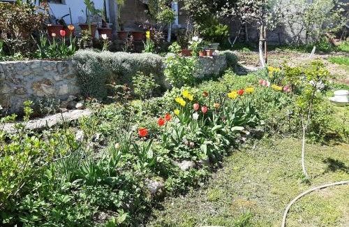 Sarajevo Apartment | Apartments Amy