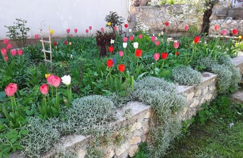 Sarajevo Apartment | Apartments Amy