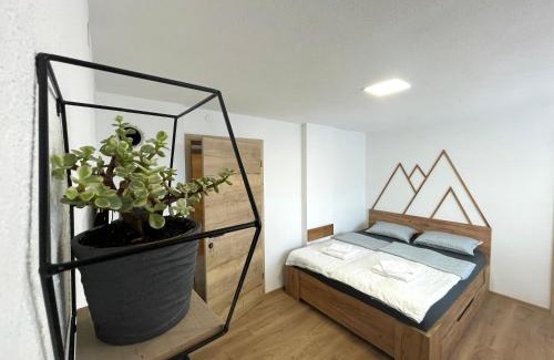 Cerkno House | Apartments and rooms pri Bašlju