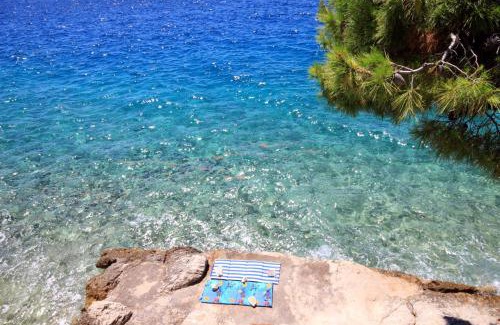 Promajna Apartment | Apartments by the sea Promajna, Makarska - 2592