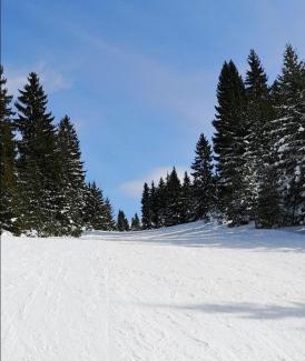 Babanovac Apartment | Apartments Cosic