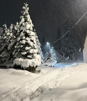 Babanovac Apartment | Apartments K.I.D.S.