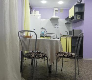 Dnipro Apartment | Apartments on Shmidta Street (Ozerka)