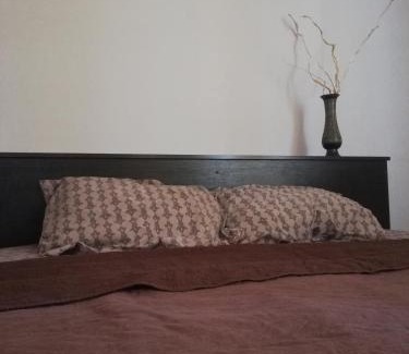 Dnipro Apartment | Apartments on Shmidta Street (Ozerka)