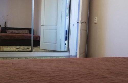 Dnipro Apartment | Apartments on Shmidta Street (Ozerka)