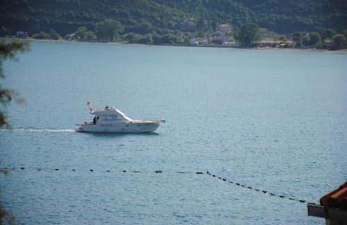 Topla Apartment | Apartments Villa Kukoljac