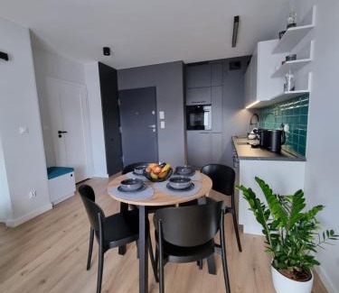 Torun Apartment | ApartTargowa