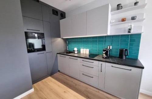 Torun Apartment | ApartTargowa