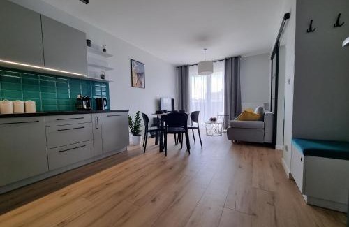 Torun Apartment | ApartTargowa