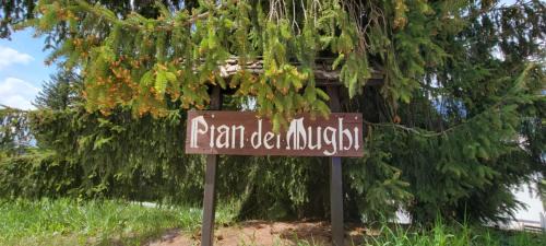 Marilleva Apartment | Appartamento Pian dei Mughi Marilleva 1400