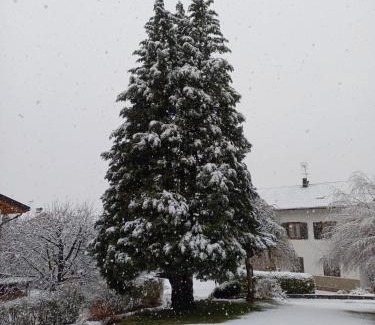 Spormaggiore House | Appartamento Tenaglia