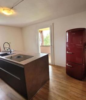 Roetenbach Apartment | Appartement Schöne Schwarzwald Auszeit