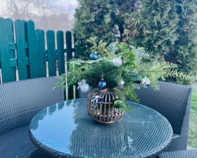 Pruhonice Apartment | Appartment Pruhonice & terrace