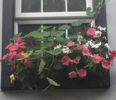 Dungiven House | Appletree lodge