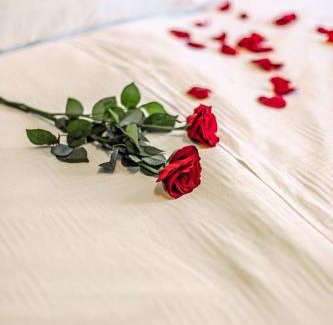 Arusha Hotel | Aprile Njiro Hotel