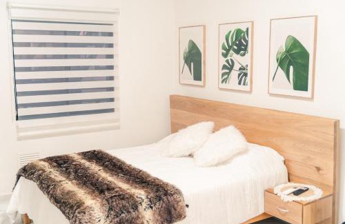 Belen Apartment | Apto 203 - Casa bendita