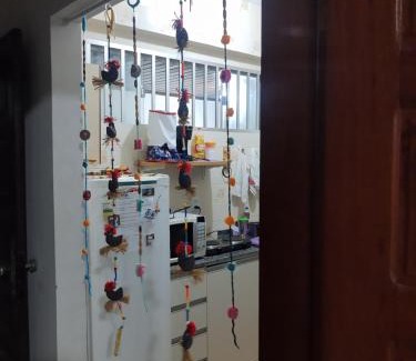 Salinopolis Apartment | Apto em Salinas com vista para o mar