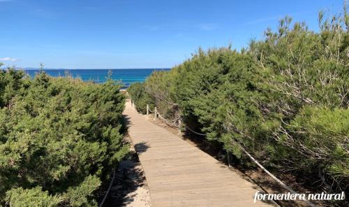 Calo de Sant Agusti Apartment | Apto Mar de Es Caló, a metros de la playa - Formentera Natural