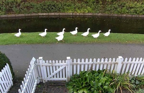 Chirk Bank Cottage | AQUEDUCT COTTAGE, family friendly, character holiday cottage in Chirk