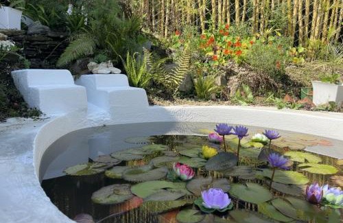 Rajgarh House | Arameh-A Boutique Orchard Retreat Near Kasauli