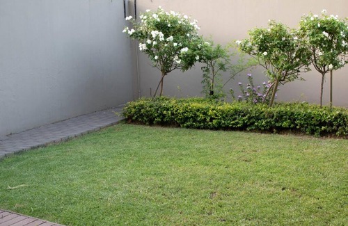 Arcadia Apartment | Arcardia