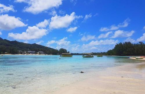 Muri House | Are Ara - House of Pineapple