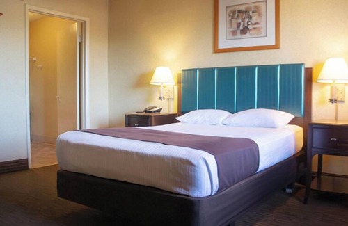 Paradise Hotel | Arizona Charlie's Boulder