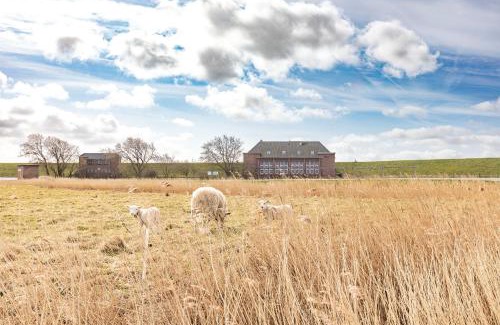 Hattstedtermarsch Apartment | Arlau Schleuse - Schleuse twee