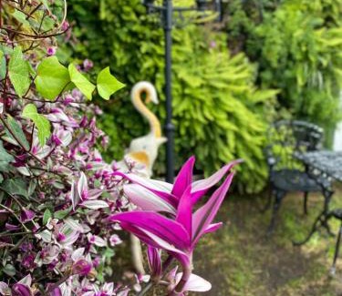 Suba House | Armonía Casa Spa