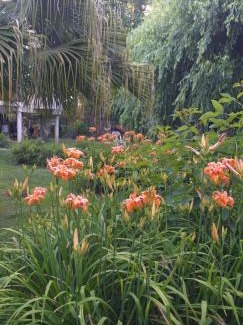 Partido de Tigre Bed & Breakfast | Armonía y Naturaleza B&B Hostería Exclusiva