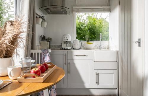 Blandford Saint Mary House | Art Studio - Connect to Nature in the Hot Tub at Cosy Studio